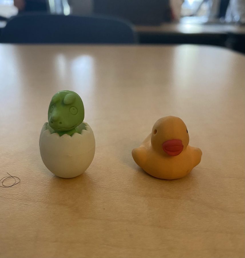 Desk Pets Add Fun to Writing Assignments