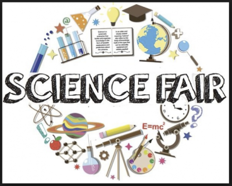 Virtual Science Fair: Vote For Your Fav on Tuesday the 28th