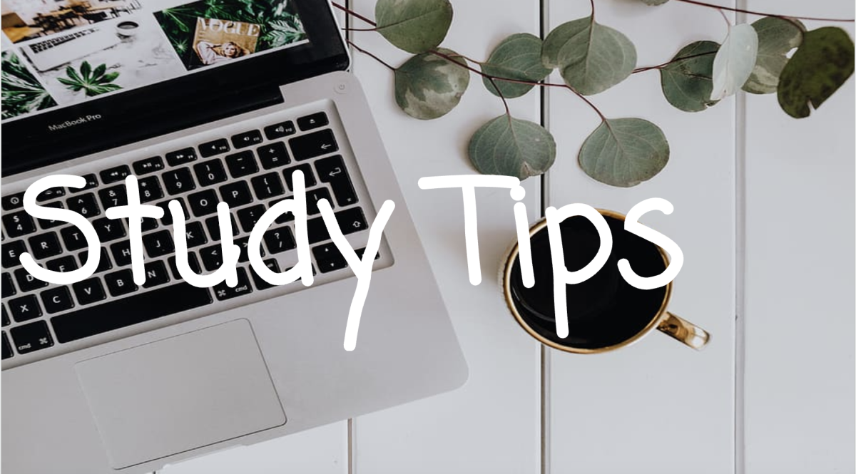 Step Up Your Academic Game With Some Study Tips