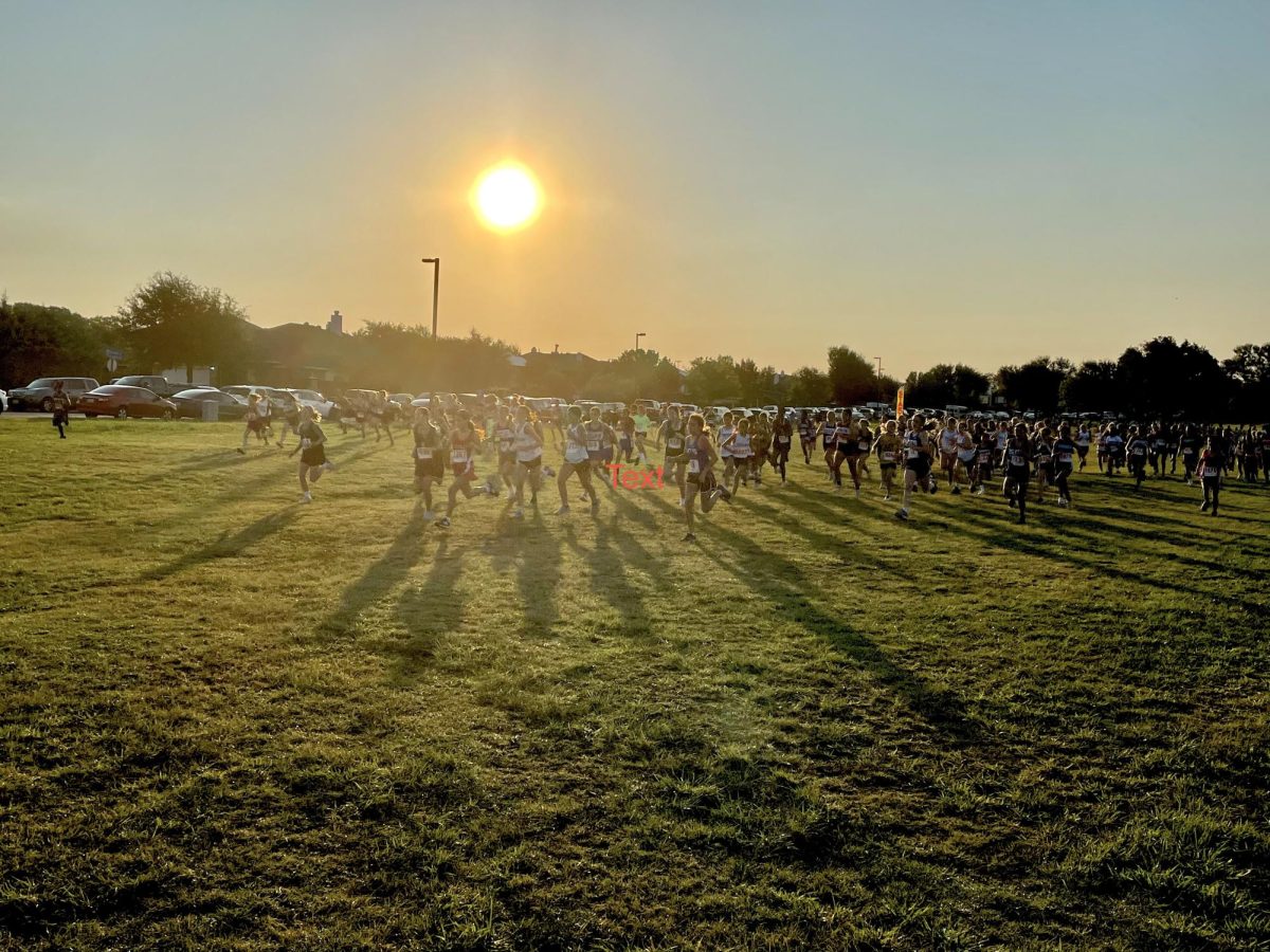 The Cross Country Meet